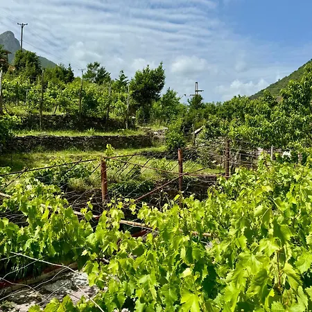 Maison d'hôtes Noku *